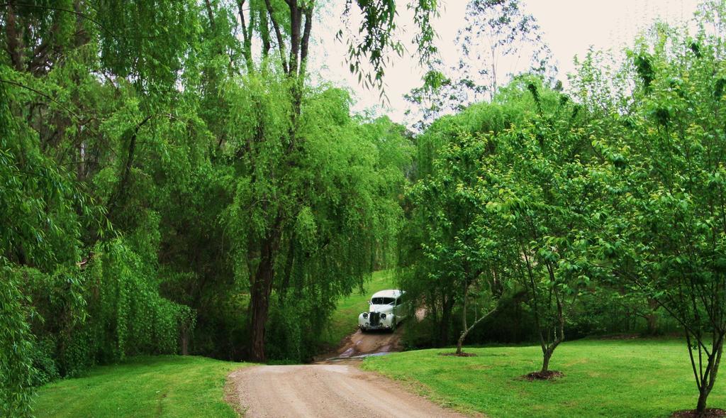 Cedars Mount View Villa Buitenkant foto